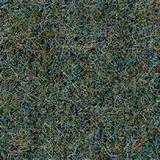 Pugirg Fenice 1247.jpg